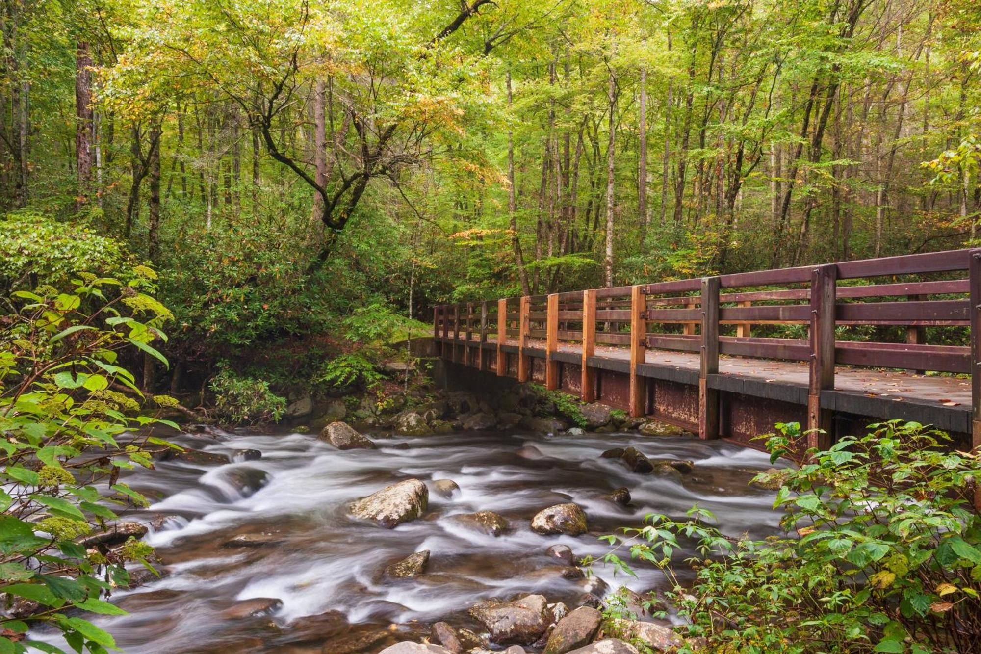 Whispering Winds, Hot Tub, Game Room, Wifi, 1089 Free Tickets Each Paid Day, Dollywood And More Gatlinburg Kültér fotó